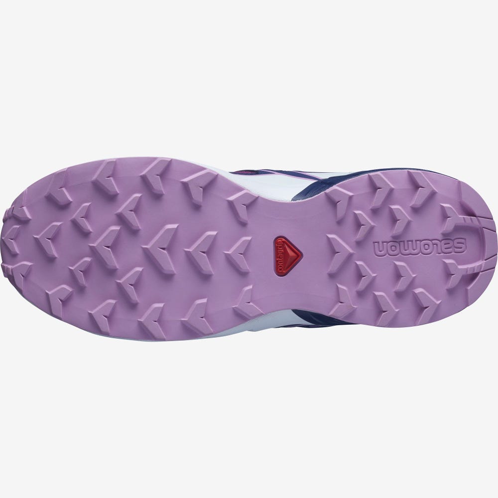 Kids' Salomon SPEEDCROSS Hiking Boots Purple/Blue/Purple | SA50798-429