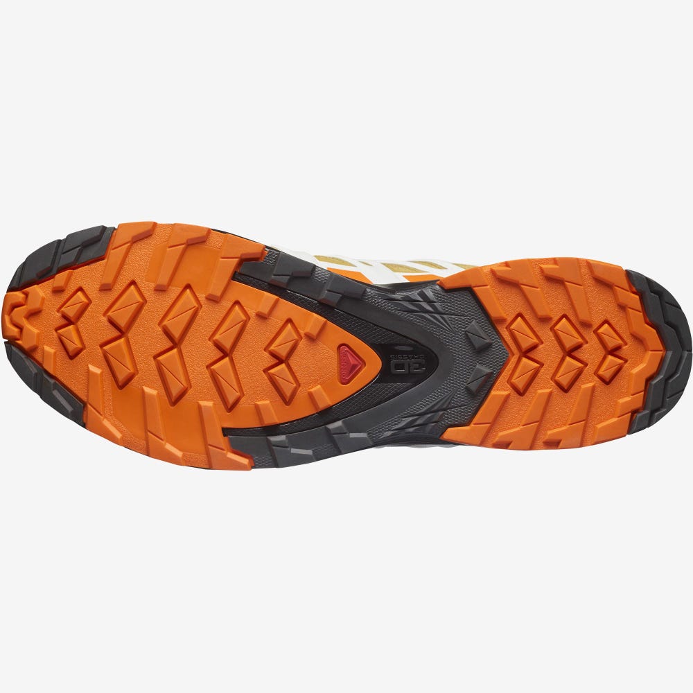 Men's Salomon XA PRO 3D v8 GORE-TEX Hiking Shoes Brown/Orange/White | SA26149-238