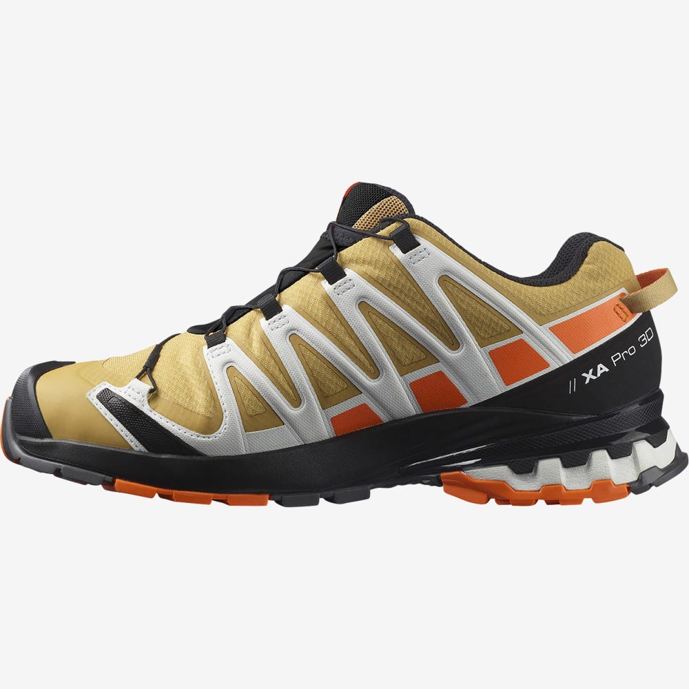 Men's Salomon XA PRO 3D v8 GORE-TEX Hiking Shoes Brown/Orange/White | SA26149-238