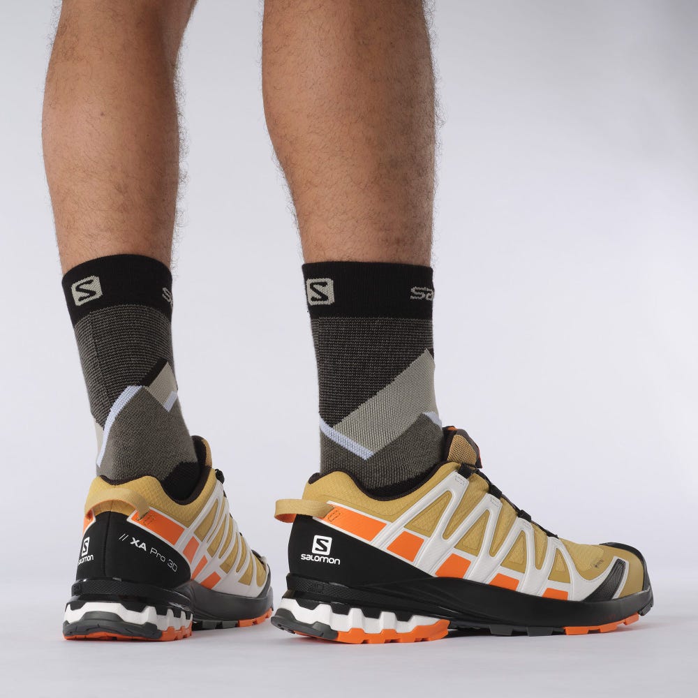 Men's Salomon XA PRO 3D v8 GORE-TEX Hiking Shoes Brown/Orange/White | SA26149-238