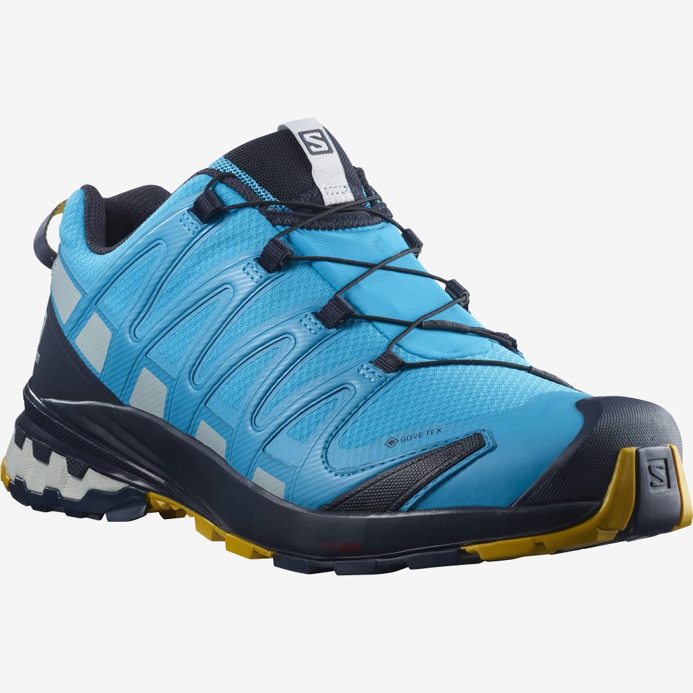 Men's Salomon XA PRO 3D v8 GORE-TEX Hiking Shoes Blue | SA28165-743