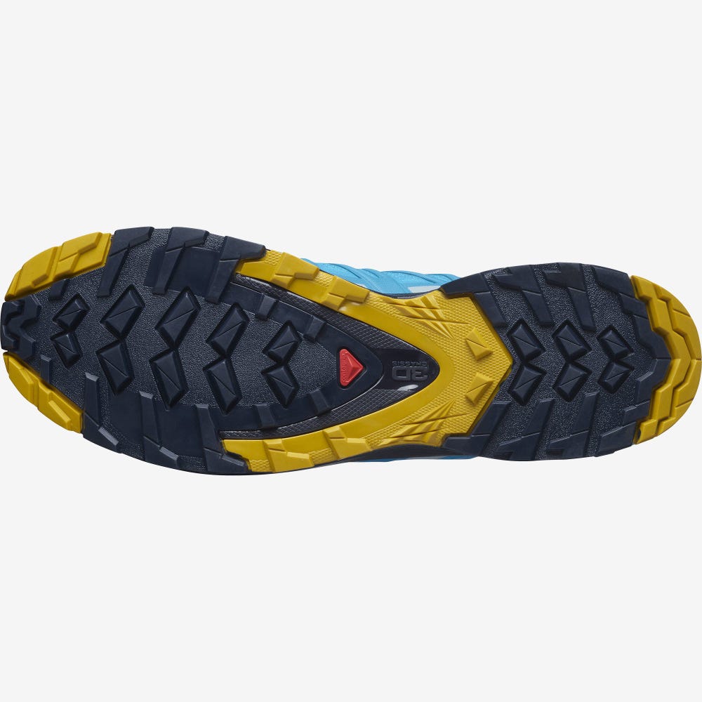 Men's Salomon XA PRO 3D v8 GORE-TEX Hiking Shoes Blue | SA28165-743