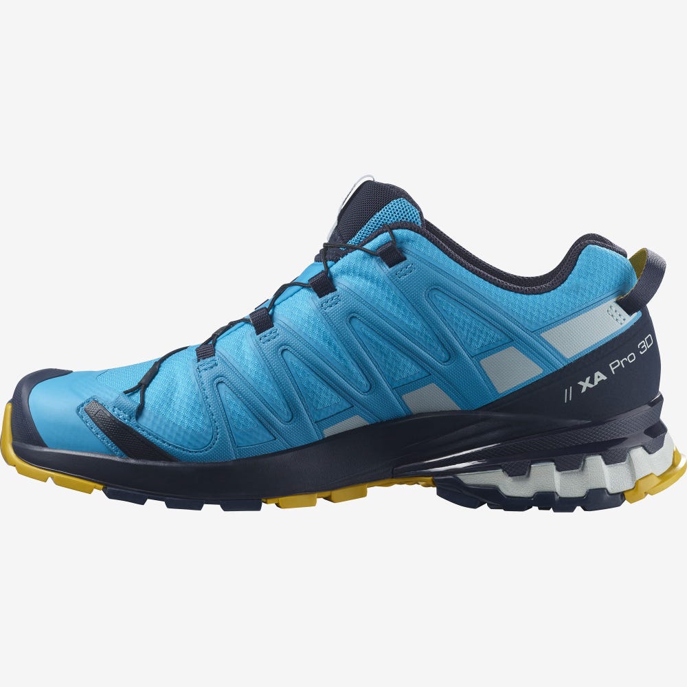 Men's Salomon XA PRO 3D v8 GORE-TEX Hiking Shoes Blue | SA28165-743