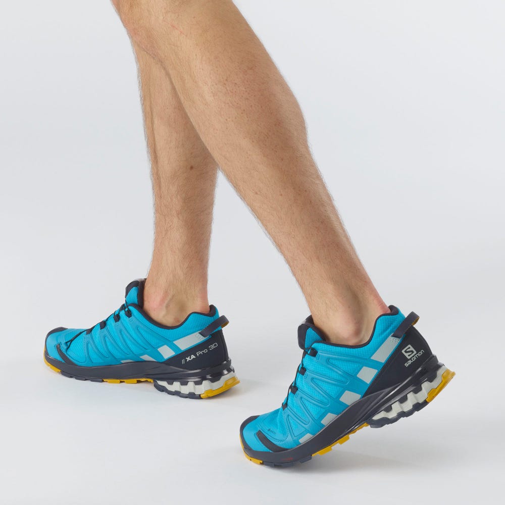 Men's Salomon XA PRO 3D v8 GORE-TEX Hiking Shoes Blue | SA28165-743