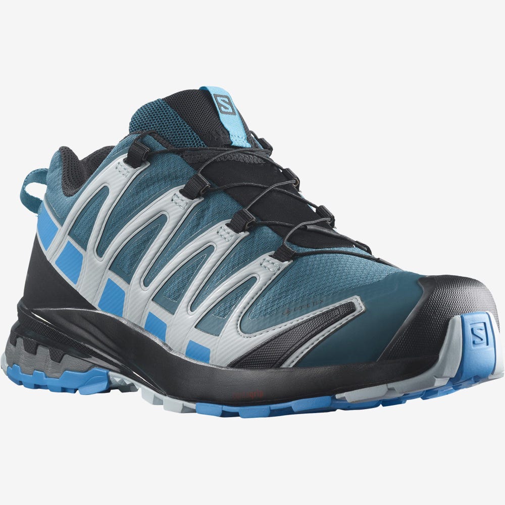 Men's Salomon XA PRO 3D v8 GORE-TEX Hiking Shoes Blue | SA42397-257