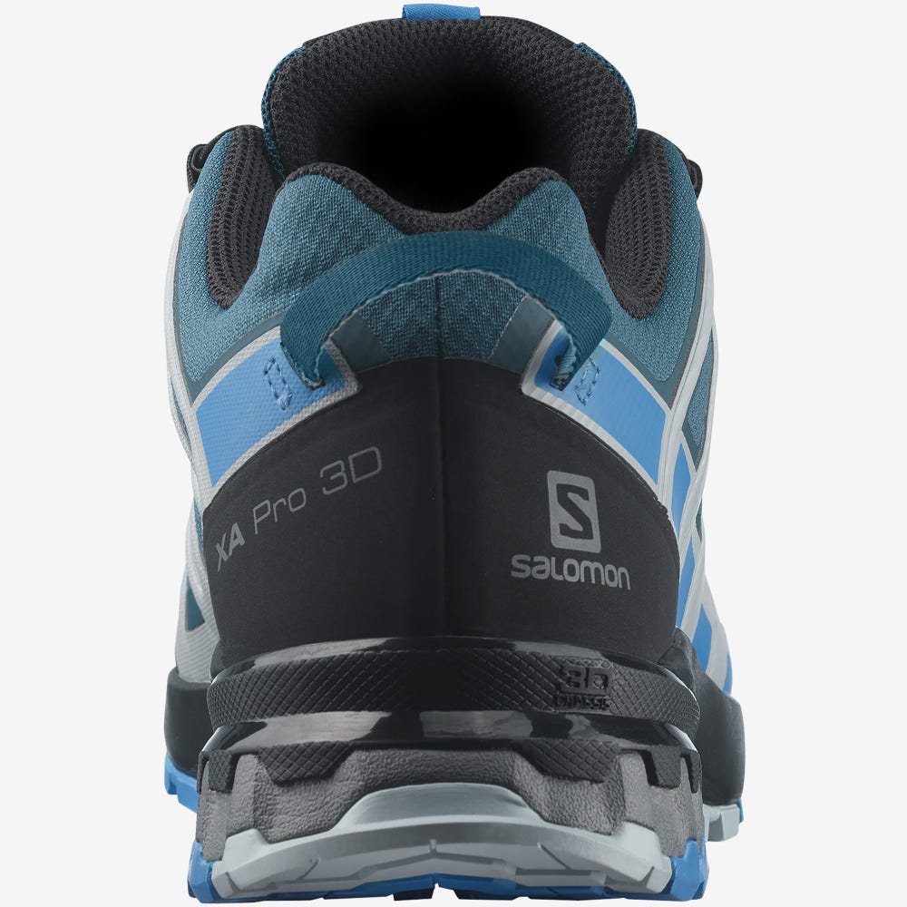 Men's Salomon XA PRO 3D v8 GORE-TEX Hiking Shoes Blue | SA42397-257