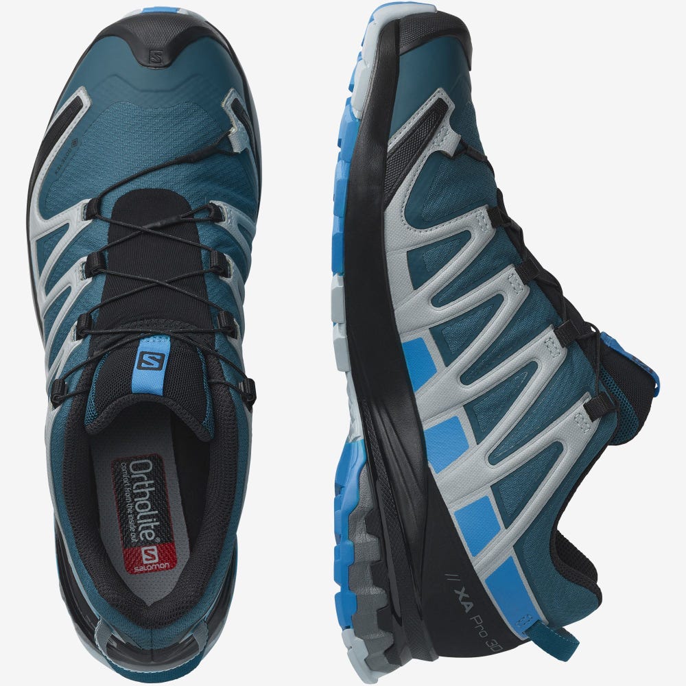 Men's Salomon XA PRO 3D v8 GORE-TEX Hiking Shoes Blue | SA42397-257