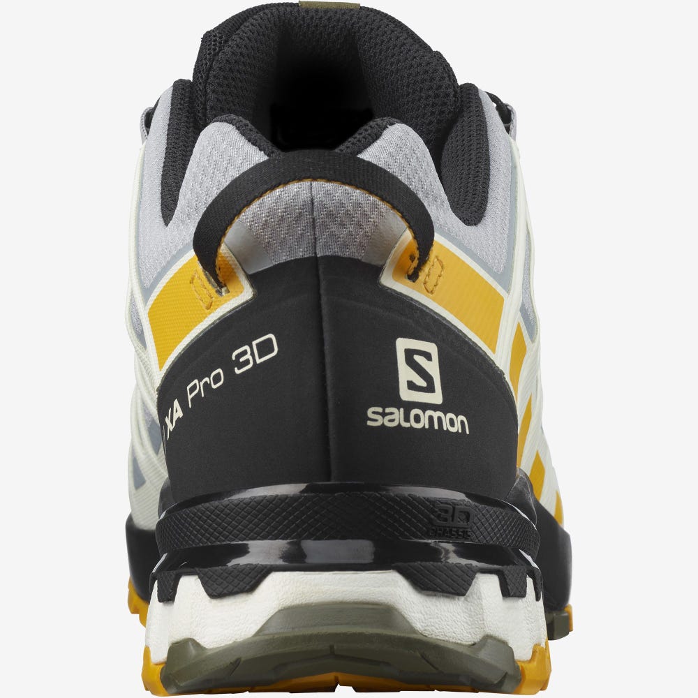 Men's Salomon XA PRO 3D v8 GORE-TEX Hiking Shoes Black | SA70842-527