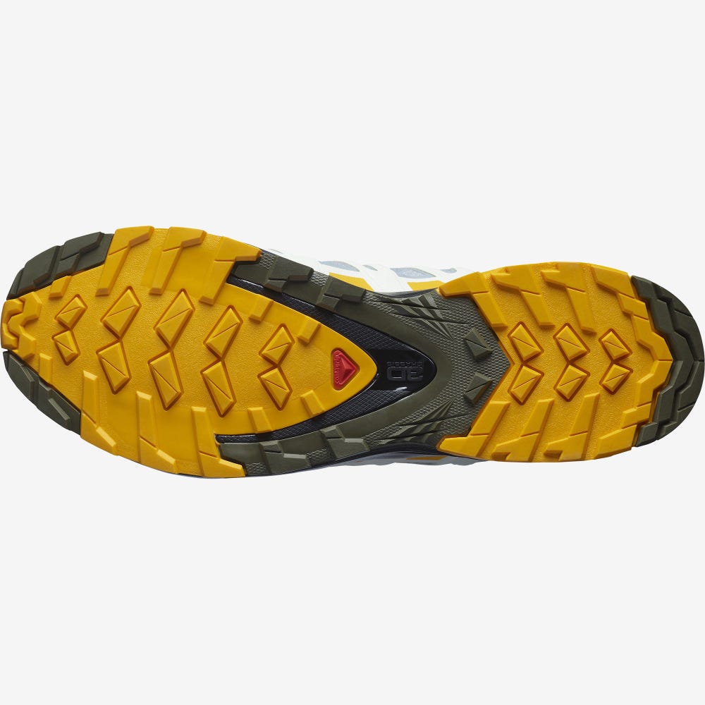 Men's Salomon XA PRO 3D v8 GORE-TEX Hiking Shoes Black | SA70842-527