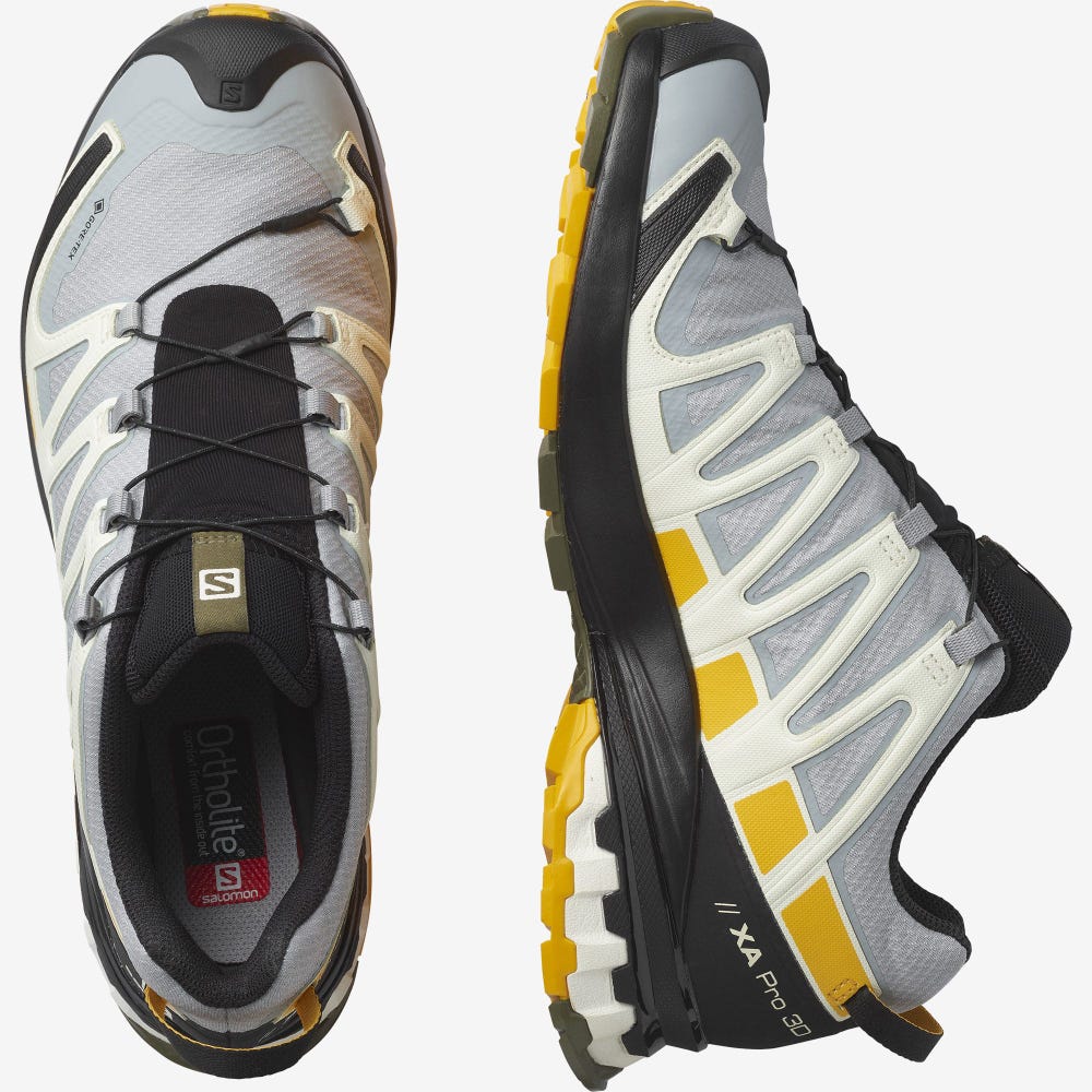 Men's Salomon XA PRO 3D v8 GORE-TEX Hiking Shoes Black | SA70842-527