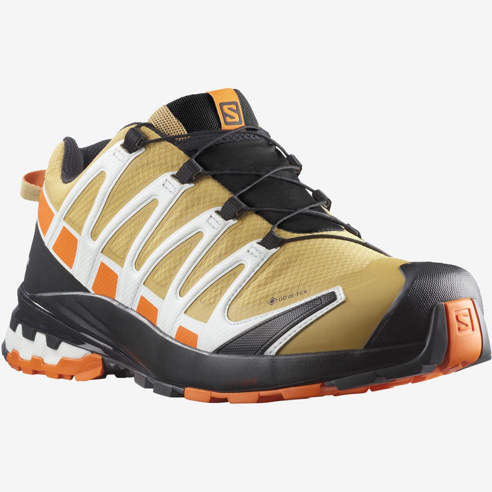 Men's Salomon XA PRO 3D v8 GORE-TEX Trail Running Shoes Brown/Orange/White | SA34209-392