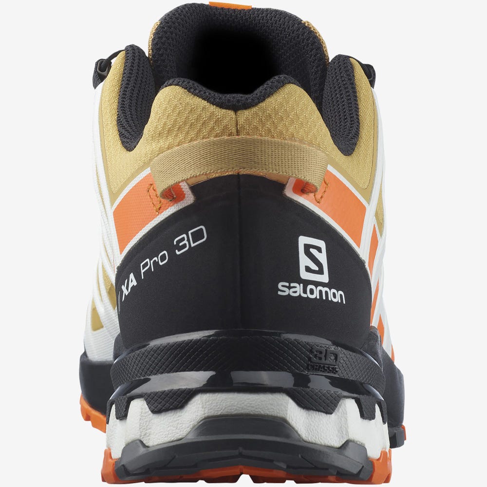 Men's Salomon XA PRO 3D v8 GORE-TEX Trail Running Shoes Brown/Orange/White | SA34209-392
