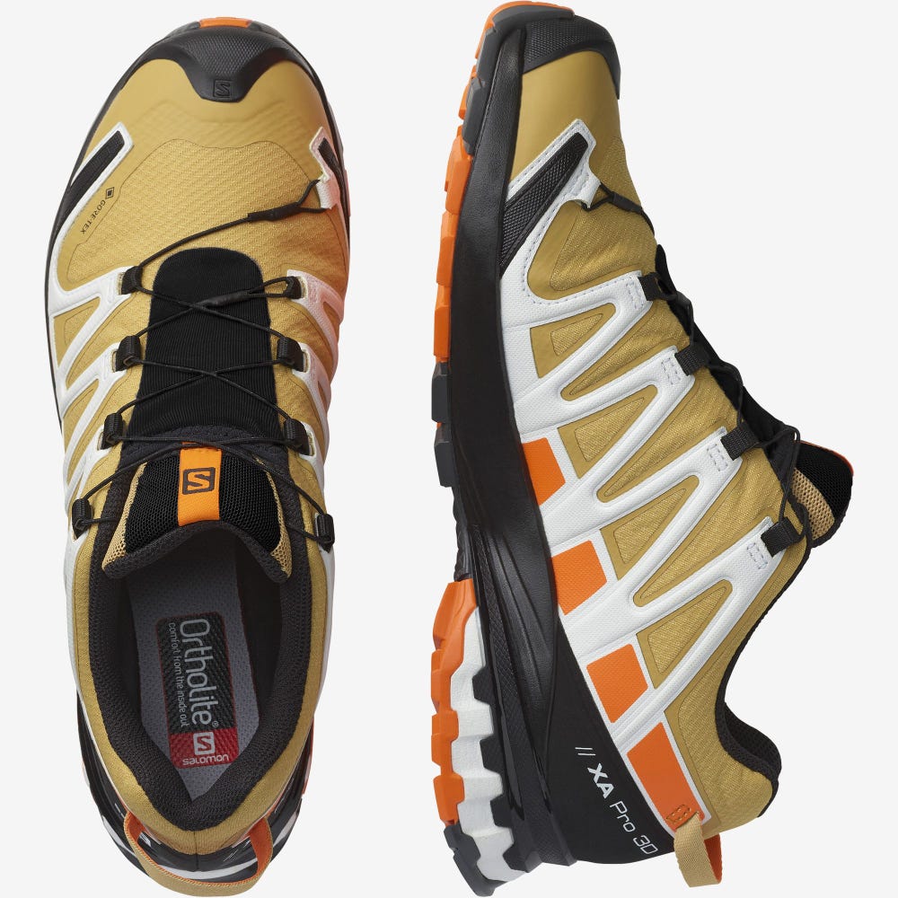 Men's Salomon XA PRO 3D v8 GORE-TEX Trail Running Shoes Brown/Orange/White | SA34209-392