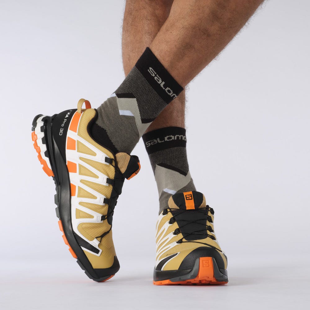 Men's Salomon XA PRO 3D v8 GORE-TEX Trail Running Shoes Brown/Orange/White | SA34209-392