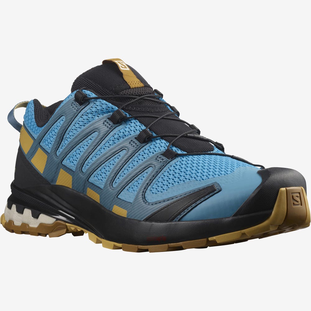 Men's Salomon XA PRO 3D v8 Hiking Shoes Blue/Brown | SA09387-742