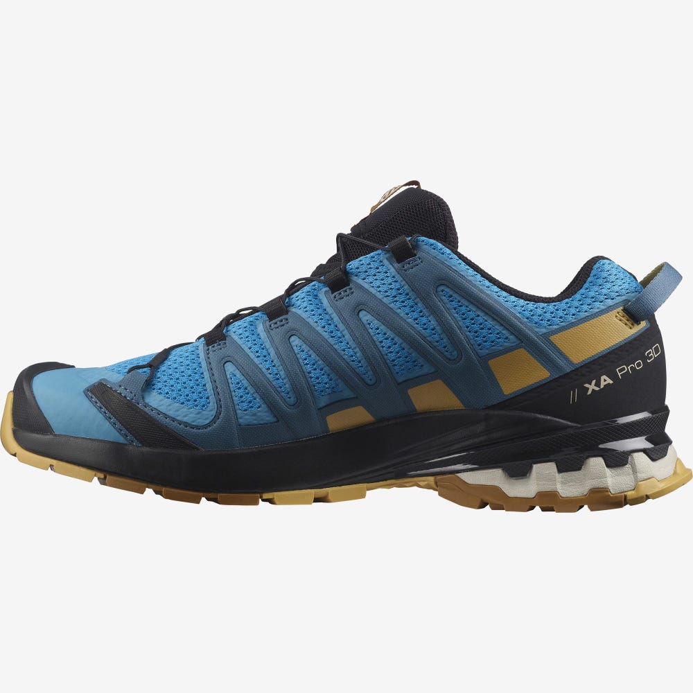 Men's Salomon XA PRO 3D v8 Hiking Shoes Blue/Brown | SA09387-742