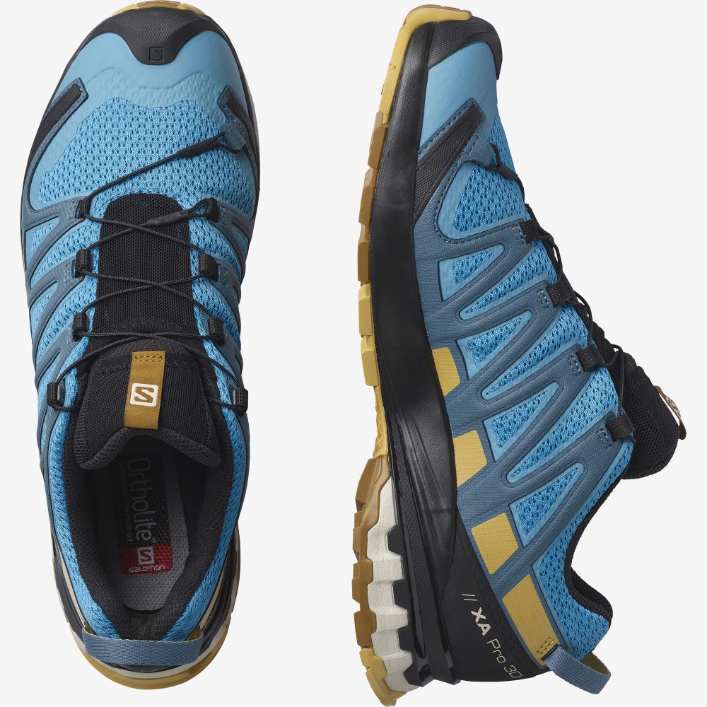 Men's Salomon XA PRO 3D v8 Hiking Shoes Blue/Brown | SA09387-742