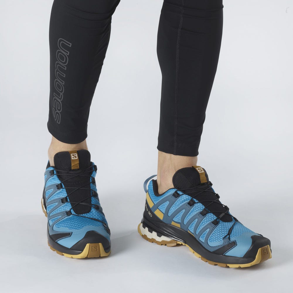 Men's Salomon XA PRO 3D v8 Hiking Shoes Blue/Brown | SA09387-742