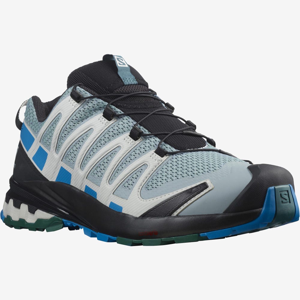 Men's Salomon XA PRO 3D v8 Hiking Shoes Green/Blue | SA38176-048