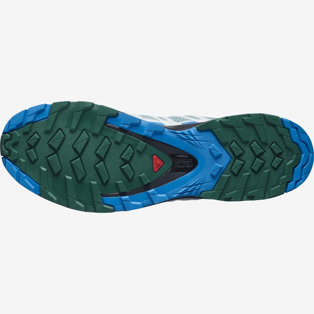 Men's Salomon XA PRO 3D v8 Hiking Shoes Green/Blue | SA38176-048