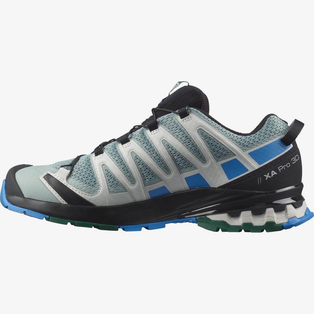 Men's Salomon XA PRO 3D v8 Hiking Shoes Green/Blue | SA38176-048