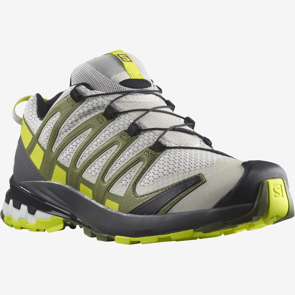 Men's Salomon XA PRO 3D v8 Hiking Shoes Grey/Green | SA46397-270