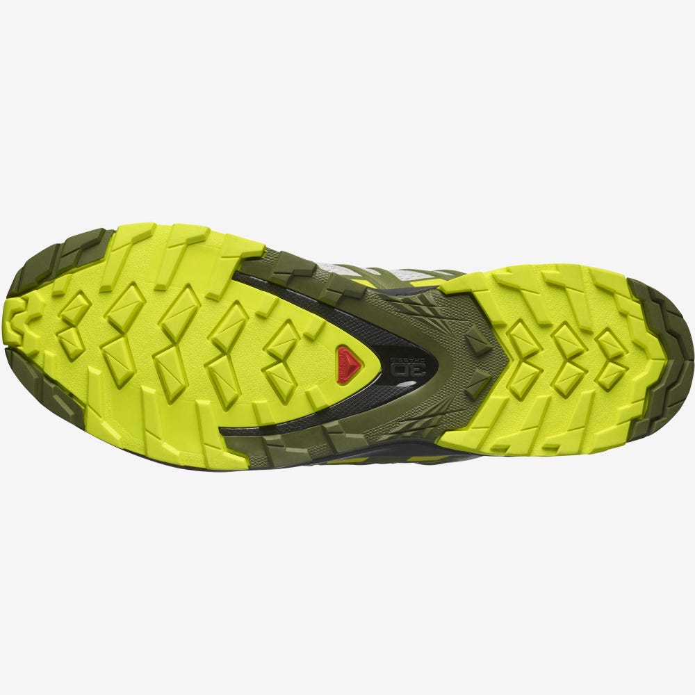 Men's Salomon XA PRO 3D v8 Hiking Shoes Grey/Green | SA46397-270