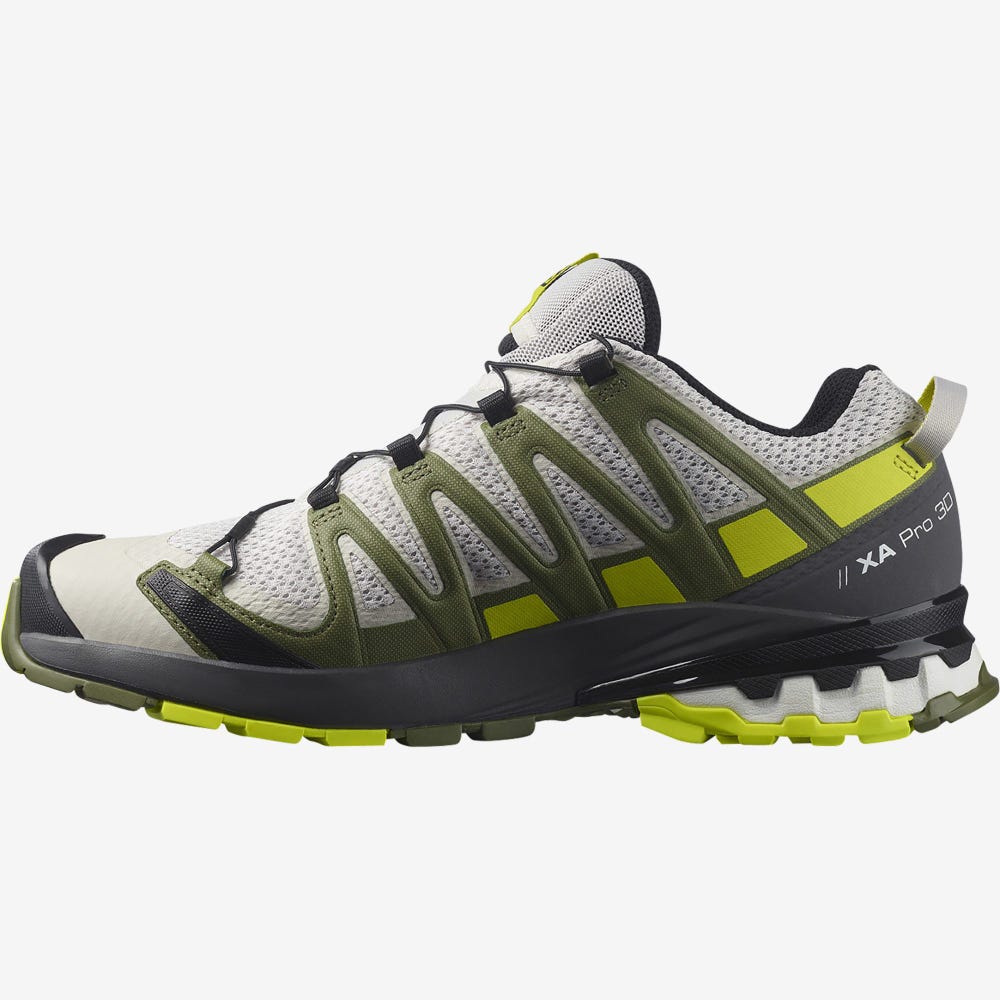 Men's Salomon XA PRO 3D v8 Hiking Shoes Grey/Green | SA46397-270