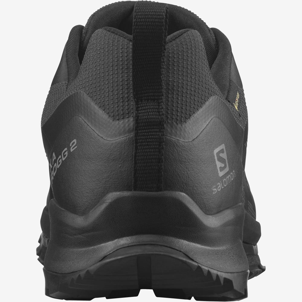 Men's Salomon XA ROGG 2 GORE-TEX Trail Running Shoes Black | SA35012-395