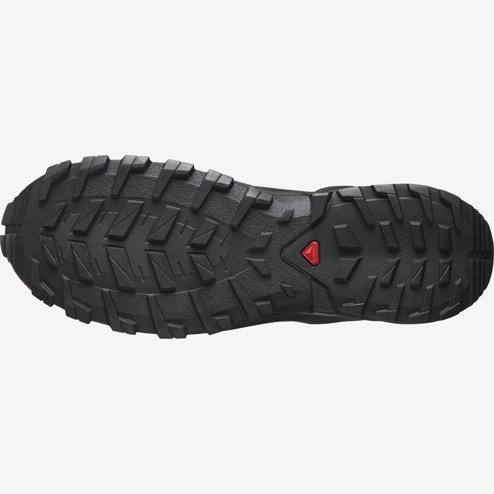Men's Salomon XA ROGG 2 GORE-TEX Trail Running Shoes Black | SA35012-395