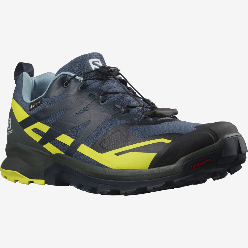 Men's Salomon XA ROGG 2 GORE-TEX Trail Running Shoes Indigo | SA96201-265