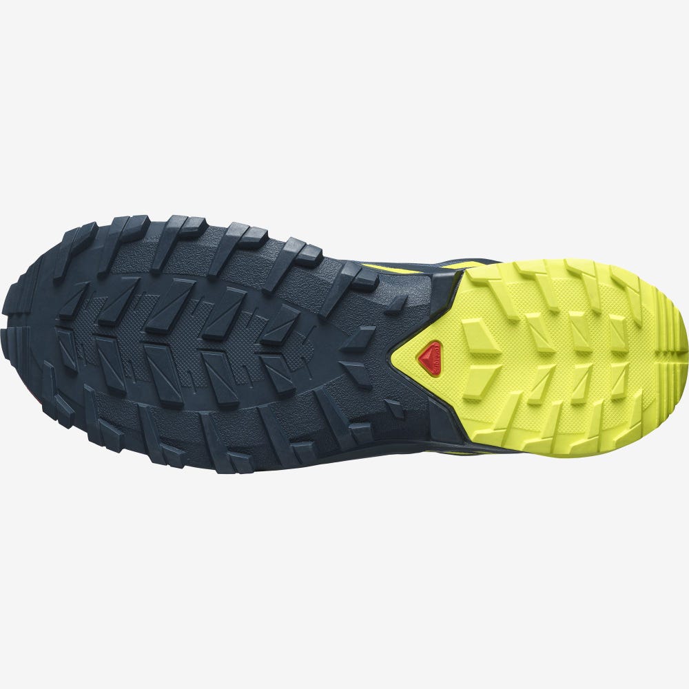 Men's Salomon XA ROGG 2 GORE-TEX Trail Running Shoes Indigo | SA96201-265