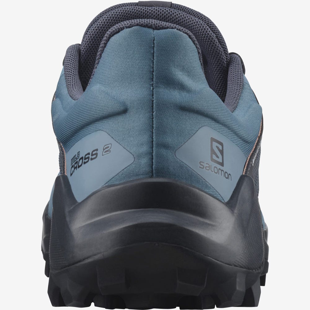Women's Salomon WILDCROSS 2 GORE-TEX Trail Running Shoes Blue | SA19405-510