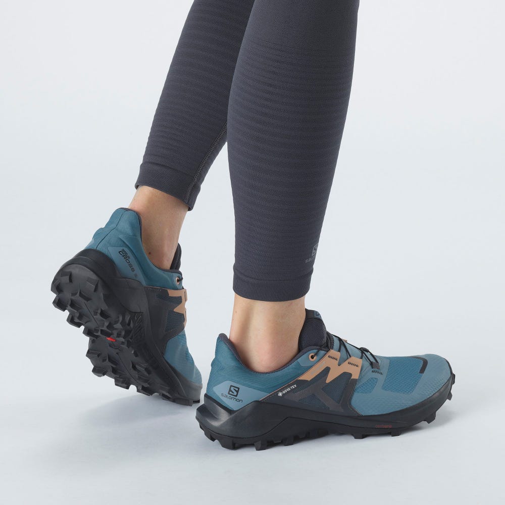 Women's Salomon WILDCROSS 2 GORE-TEX Trail Running Shoes Blue | SA19405-510