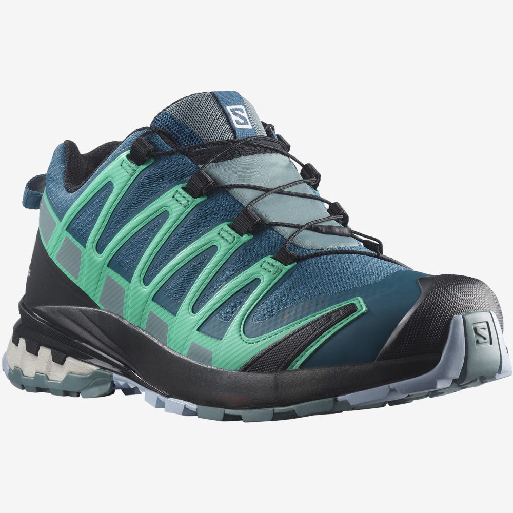 Women's Salomon XA PRO 3D v8 GORE-TEX Hiking Shoes Blue/Mint | SA02845-093