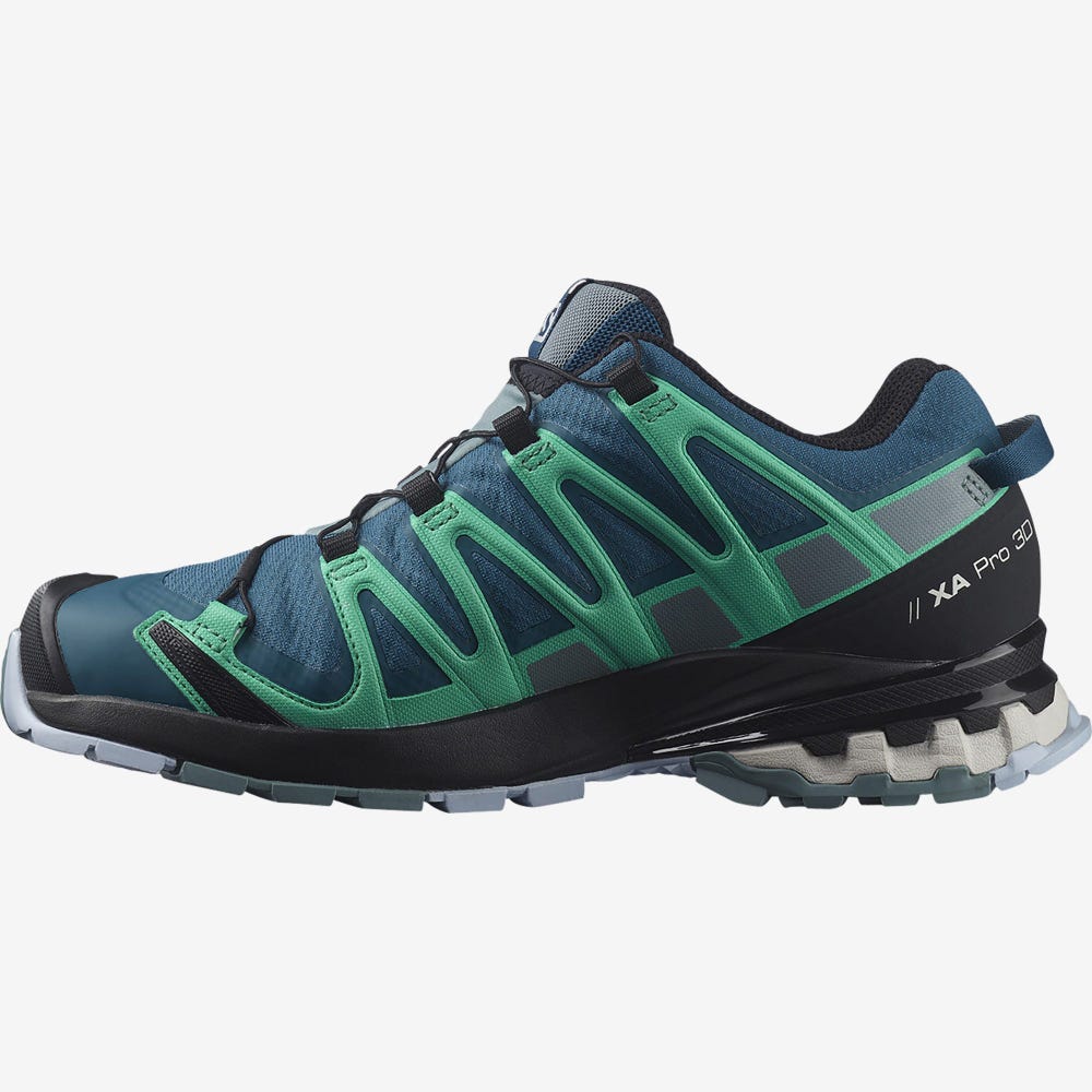 Women's Salomon XA PRO 3D v8 GORE-TEX Hiking Shoes Blue/Mint | SA02845-093