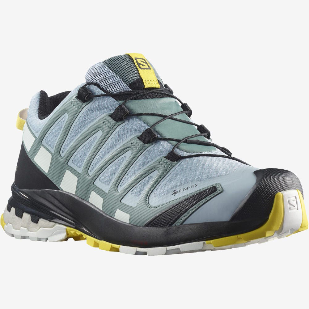 Women's Salomon XA PRO 3D v8 GORE-TEX Hiking Shoes Blue/White | SA06935-045