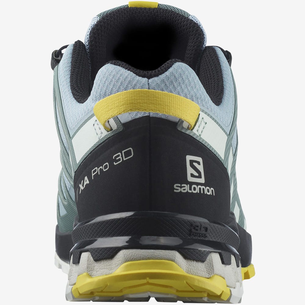 Women's Salomon XA PRO 3D v8 GORE-TEX Hiking Shoes Blue/White | SA06935-045