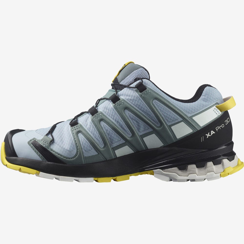 Women's Salomon XA PRO 3D v8 GORE-TEX Hiking Shoes Blue/White | SA06935-045