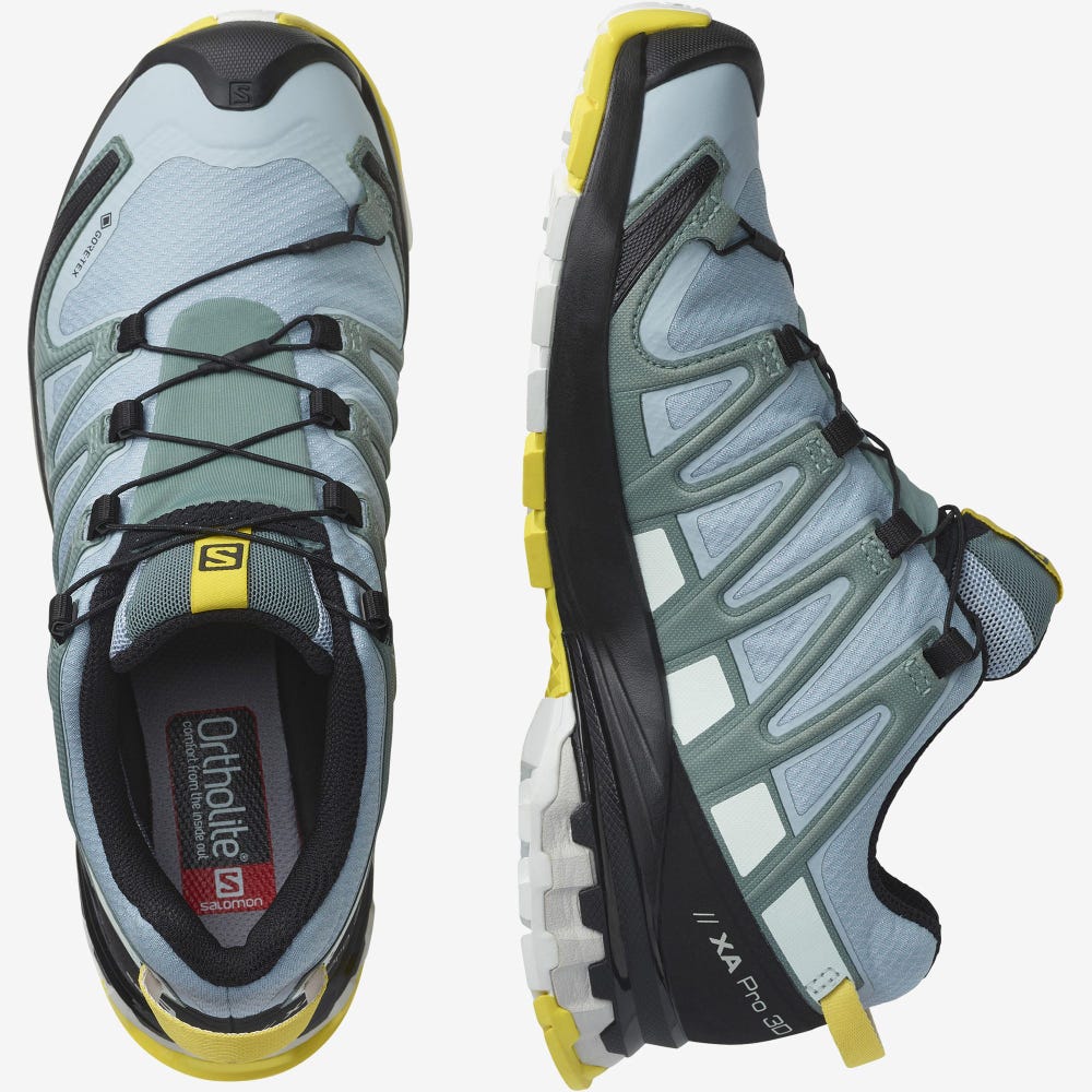Women's Salomon XA PRO 3D v8 GORE-TEX Hiking Shoes Blue/White | SA06935-045