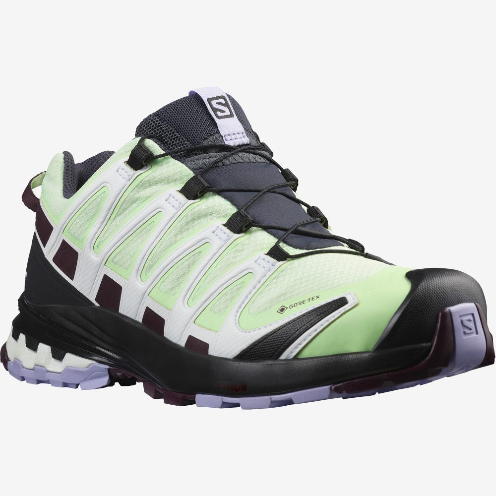 Women's Salomon XA PRO 3D v8 GORE-TEX Hiking Shoes Green/Lavender | SA67591-167