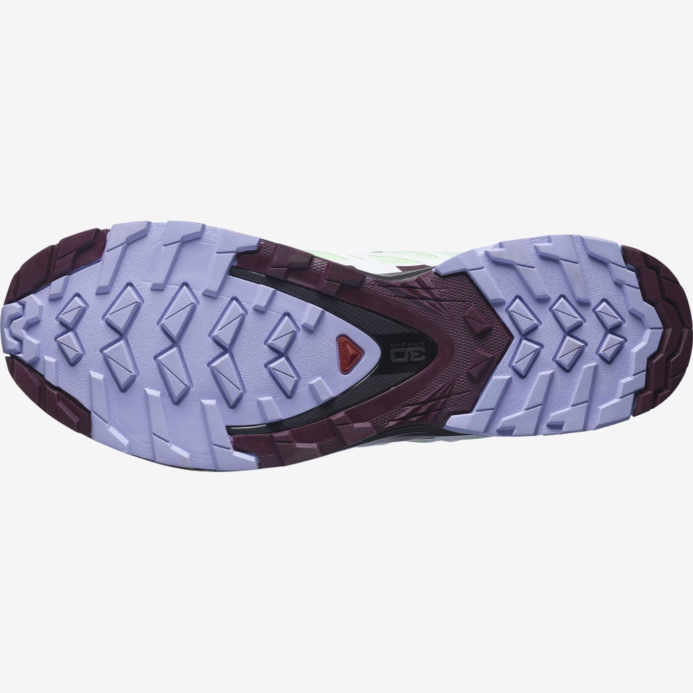 Women's Salomon XA PRO 3D v8 GORE-TEX Hiking Shoes Green/Lavender | SA67591-167