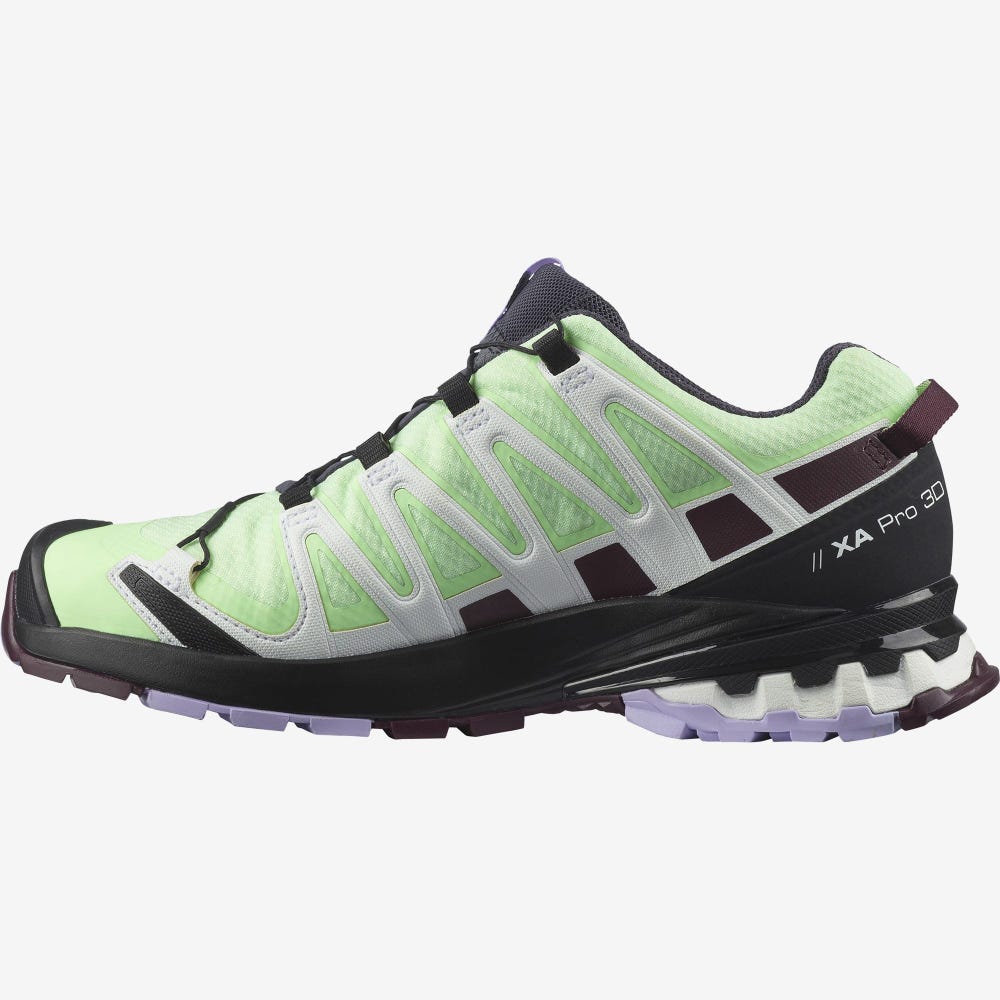 Women's Salomon XA PRO 3D v8 GORE-TEX Hiking Shoes Green/Lavender | SA67591-167