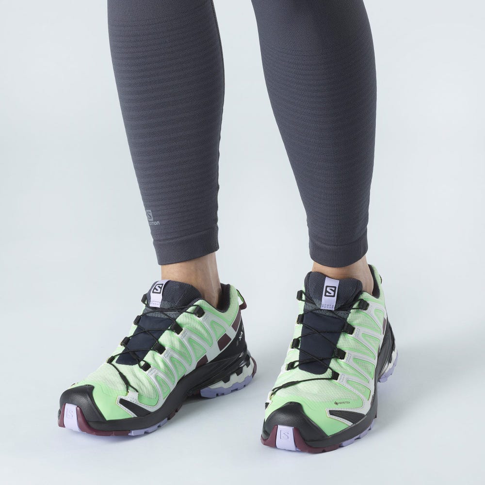 Women's Salomon XA PRO 3D v8 GORE-TEX Hiking Shoes Green/Lavender | SA67591-167