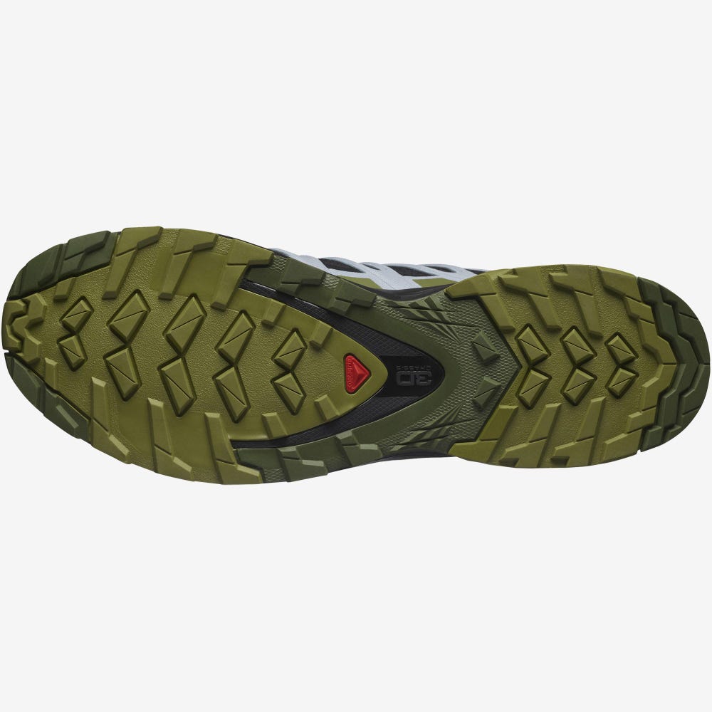 Women's Salomon XA PRO 3D v8 GORE-TEX Hiking Shoes Black/Green/Blue | SA97256-410