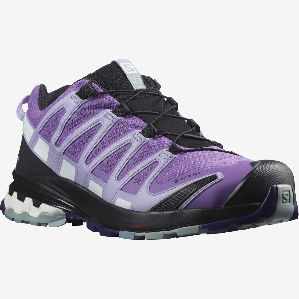 Women's Salomon XA PRO 3D v8 GORE-TEX Trail Running Shoes Royal Purple/Lavender | SA76385-092
