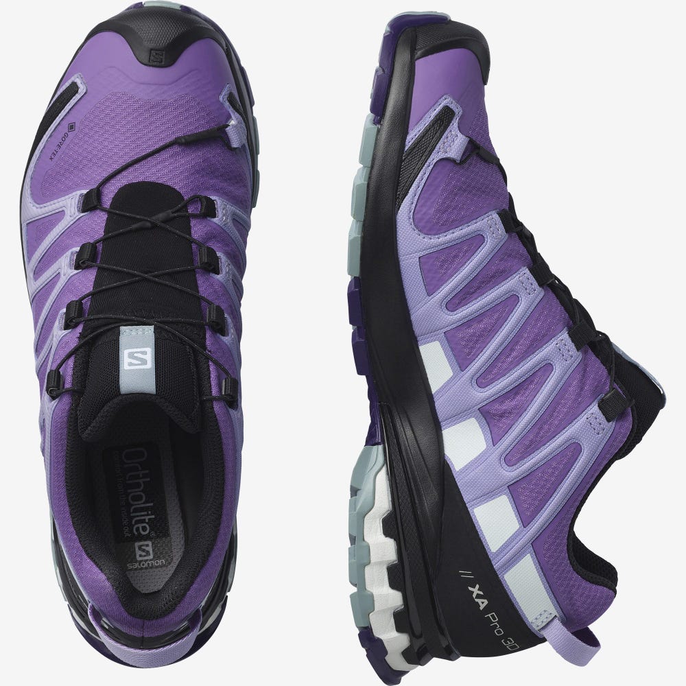Women's Salomon XA PRO 3D v8 GORE-TEX Trail Running Shoes Royal Purple/Lavender | SA76385-092