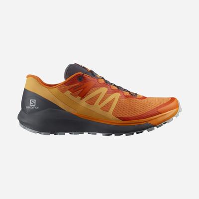 Men's Salomon SENSE RIDE 4 Trail Running Shoes Orange | SA98614-859