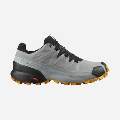Men's Salomon SPEEDCROSS 5 GORE-TEX Trail Running Shoes Black | SA12567-954