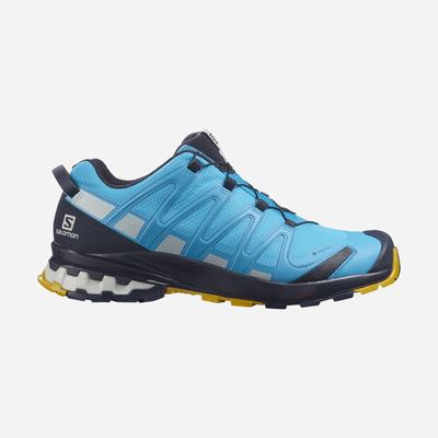 Men's Salomon XA PRO 3D v8 GORE-TEX Hiking Shoes Blue | SA28165-743